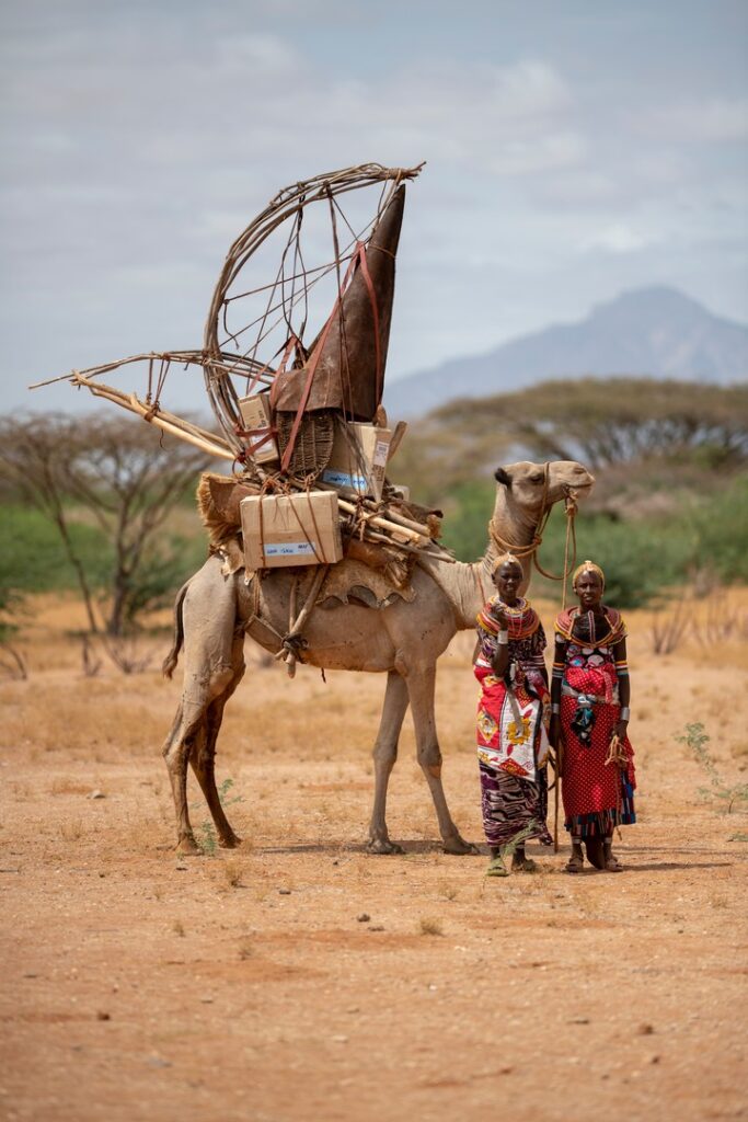 The desert vehicle, Important transport means for audio Bibles in arid and semi arid areas